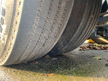 SVAN TCH 202/ 2016  (18)