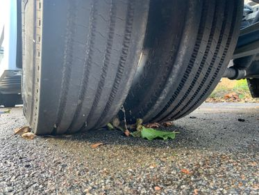 SVAN TCH 202/ 2016  (19)