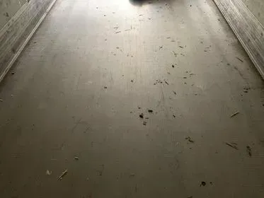 Schmitz Cargobull SKO 24/2007/ refrigerated semi-trailer (34)