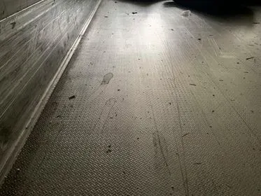 Schmitz Cargobull SKO 24/2007/ refrigerated semi-trailer (35)