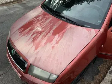 ŠKODA FABIA 6Y / 2007 / 193 000 km (8)