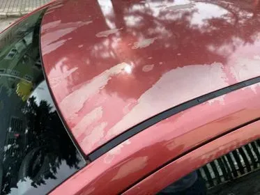 ŠKODA FABIA 6Y / 2007 / 193 000 km (9)