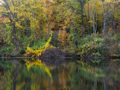 Peaceful lake with trees in Autumn colours