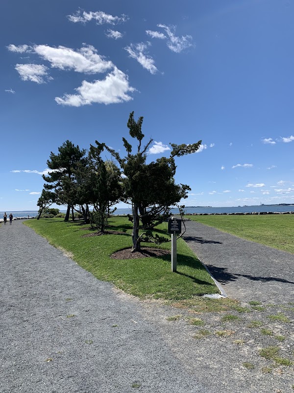 9/11 Memorial grounds