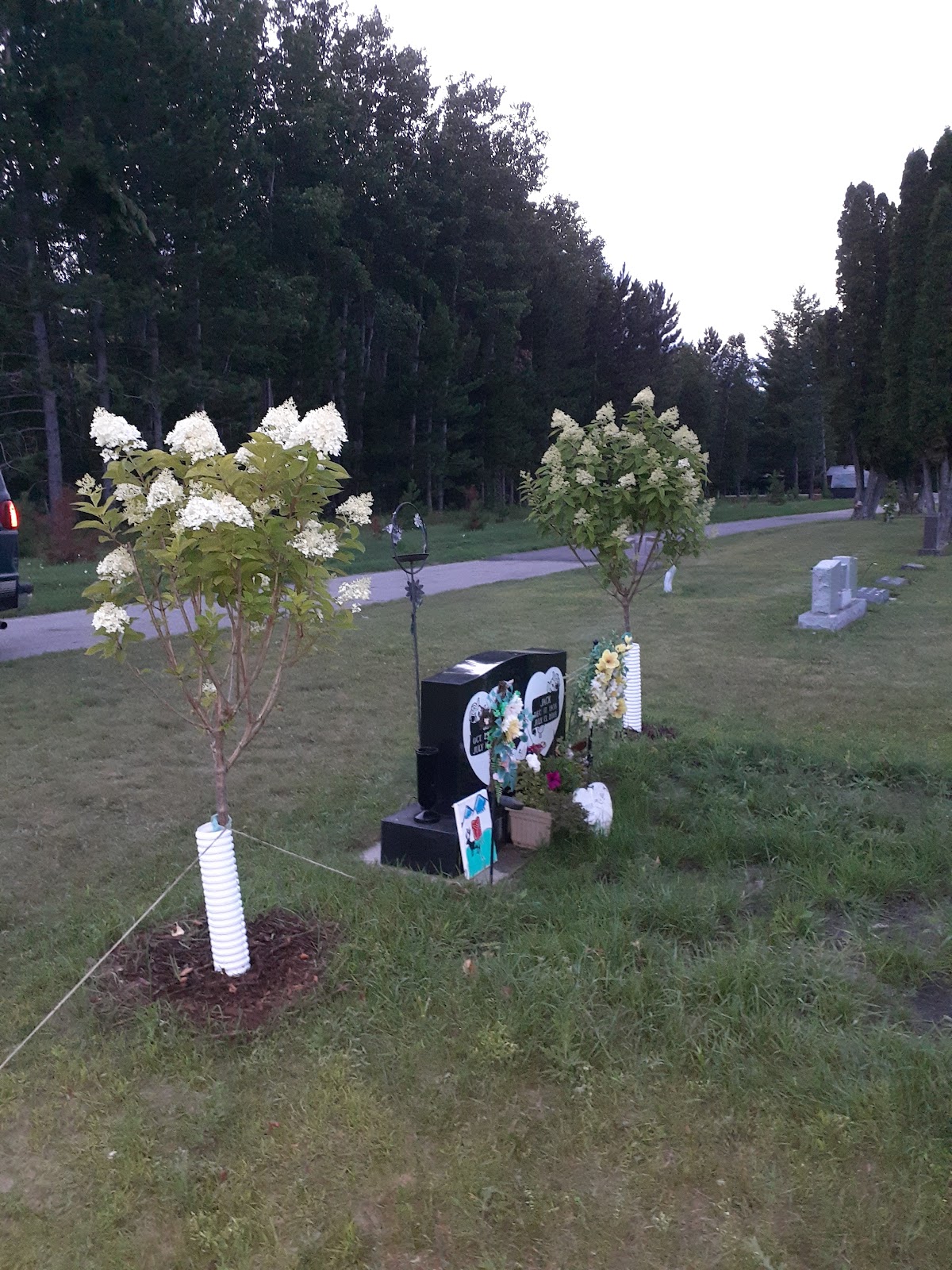 Akeley Cemetery cemetery grounds and headstones