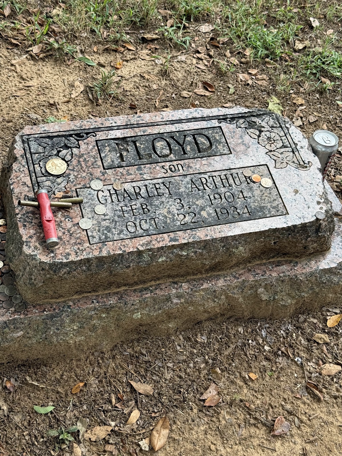 Akins Cemetery cemetery grounds and headstones