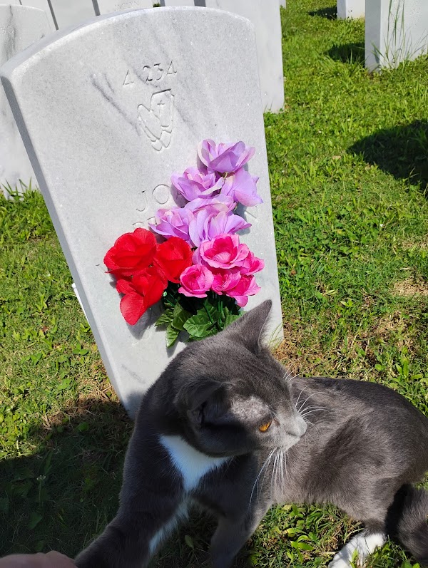 Alabama State Veterans Memorial Cemetery at Spanish Fort grounds