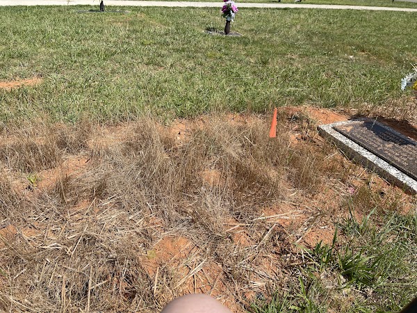 Alamance Memorial Park grounds