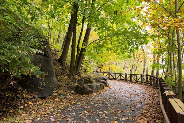 Alapocas Run State Park grounds