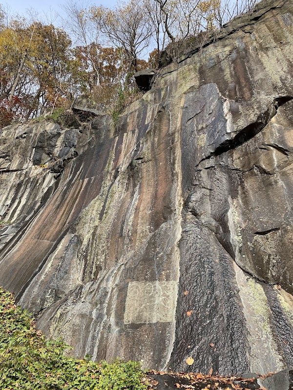 Alapocas Run State Park grounds