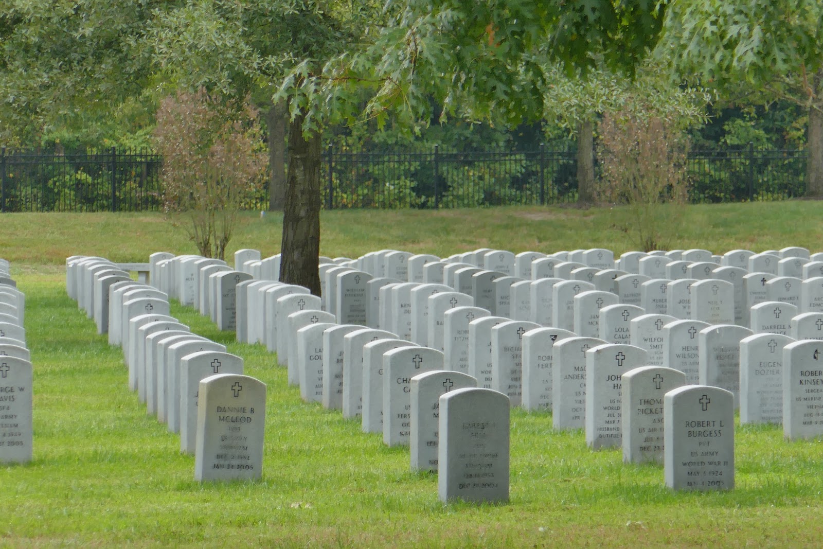 Albert G. Horton, Jr. Memorial Veterans Cemetery cemetery grounds and headstones