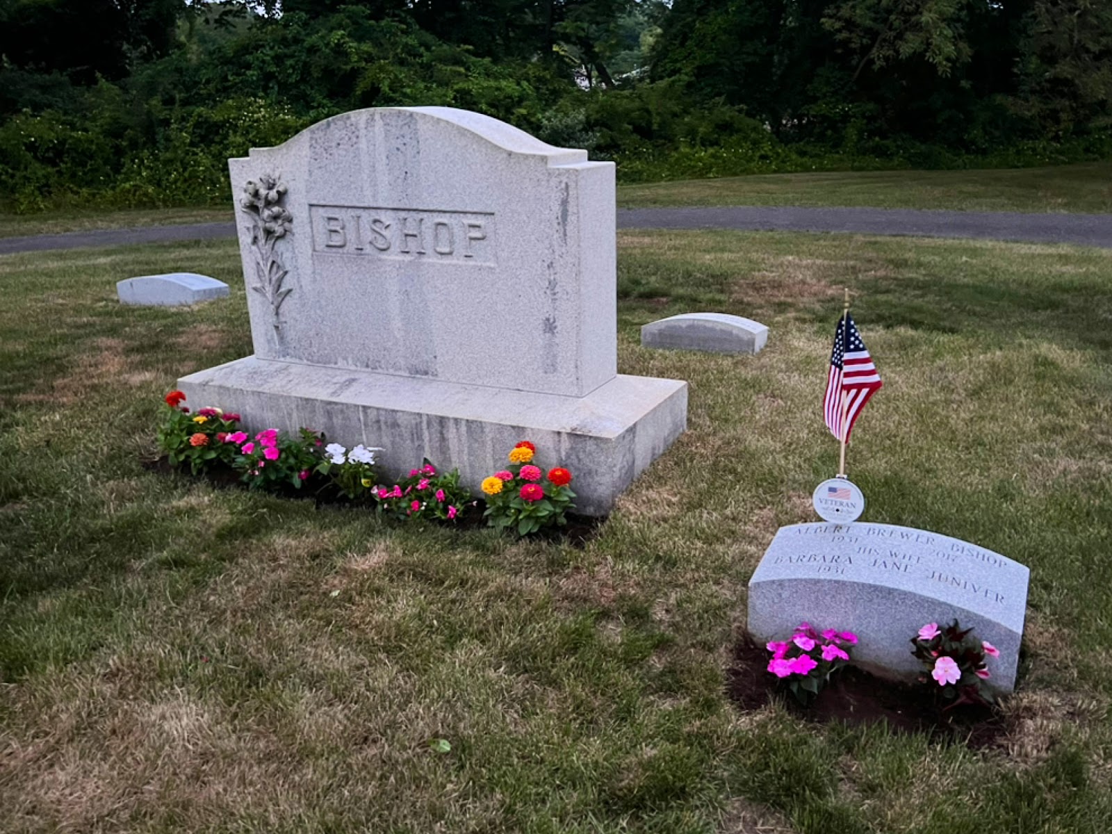 Alder Brook Cemetery cemetery grounds and headstones