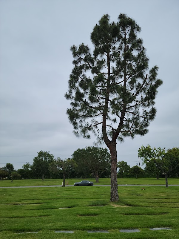 All Souls Cemetery & Mortuary grounds