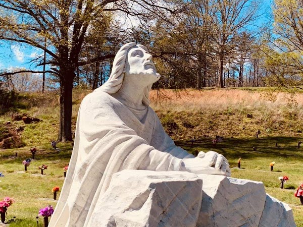 Alleghany Memorial Park grounds