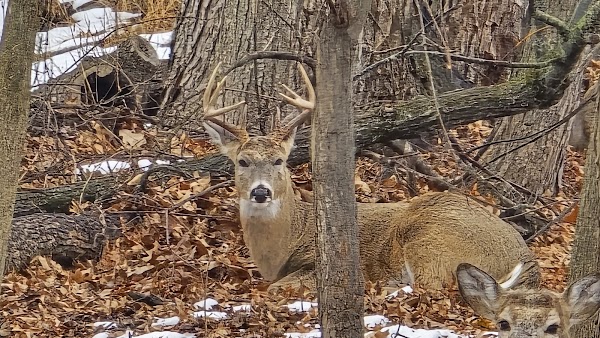 Allegheny Cemetery grounds