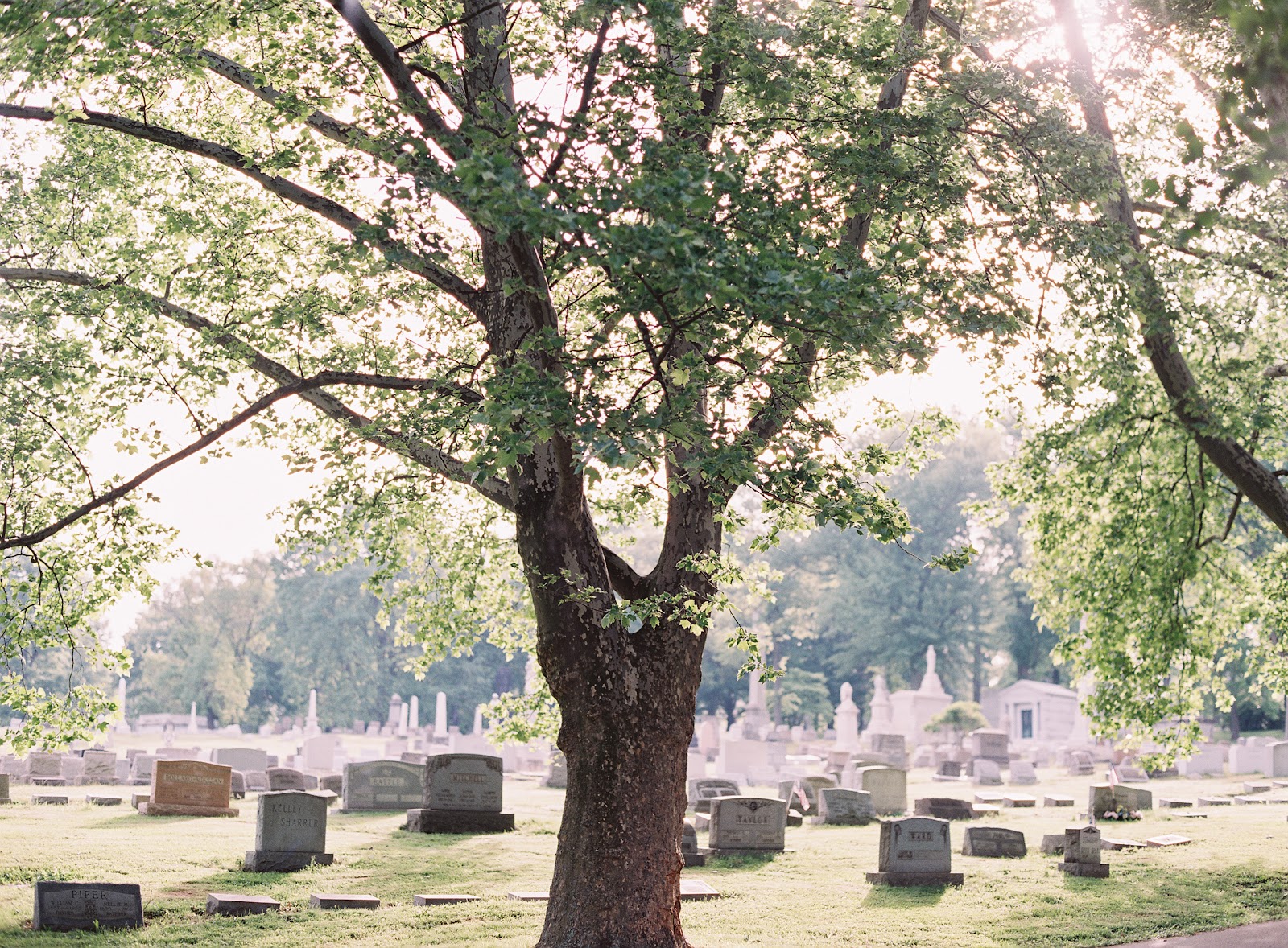 Allegheny Cemetery cemetery grounds and headstones