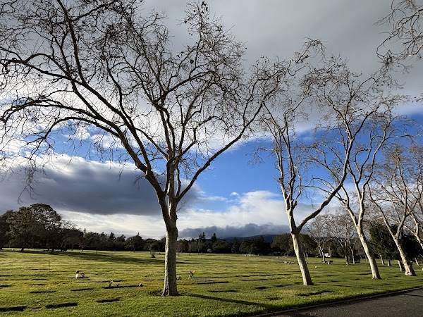 Alta Mesa Memorial Park grounds