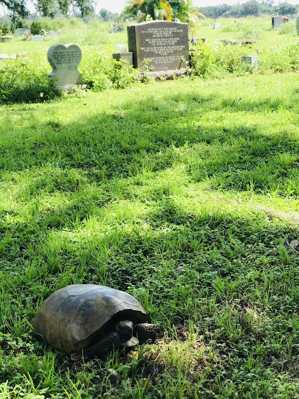 Alva Cemetery grounds