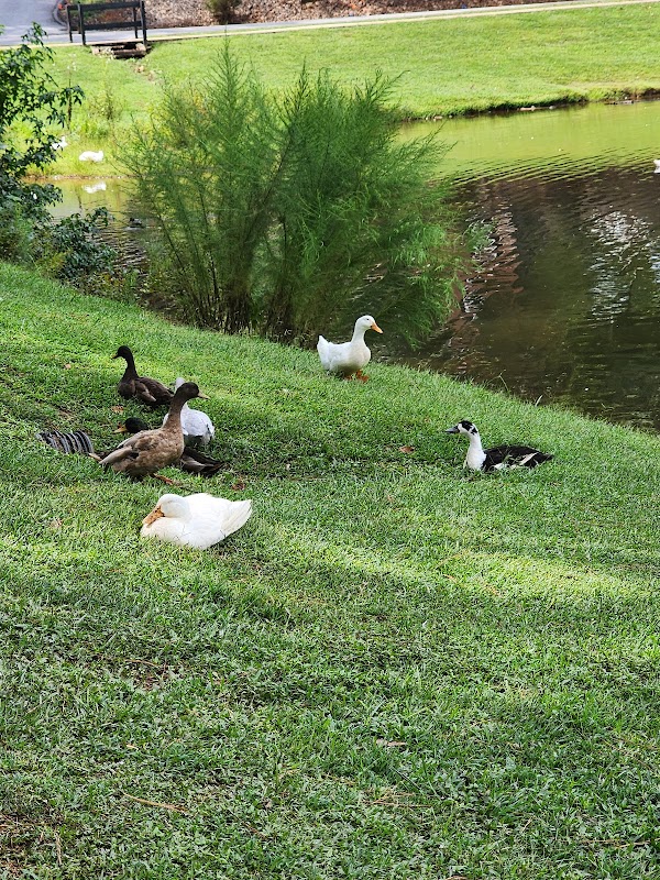 American Veterans Memorial Park grounds
