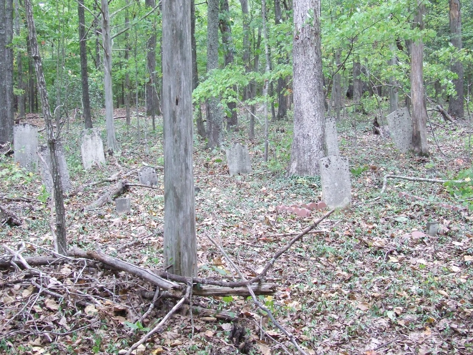 Anderson Cemetery (also, Paul's Graveyard) headstone and grounds