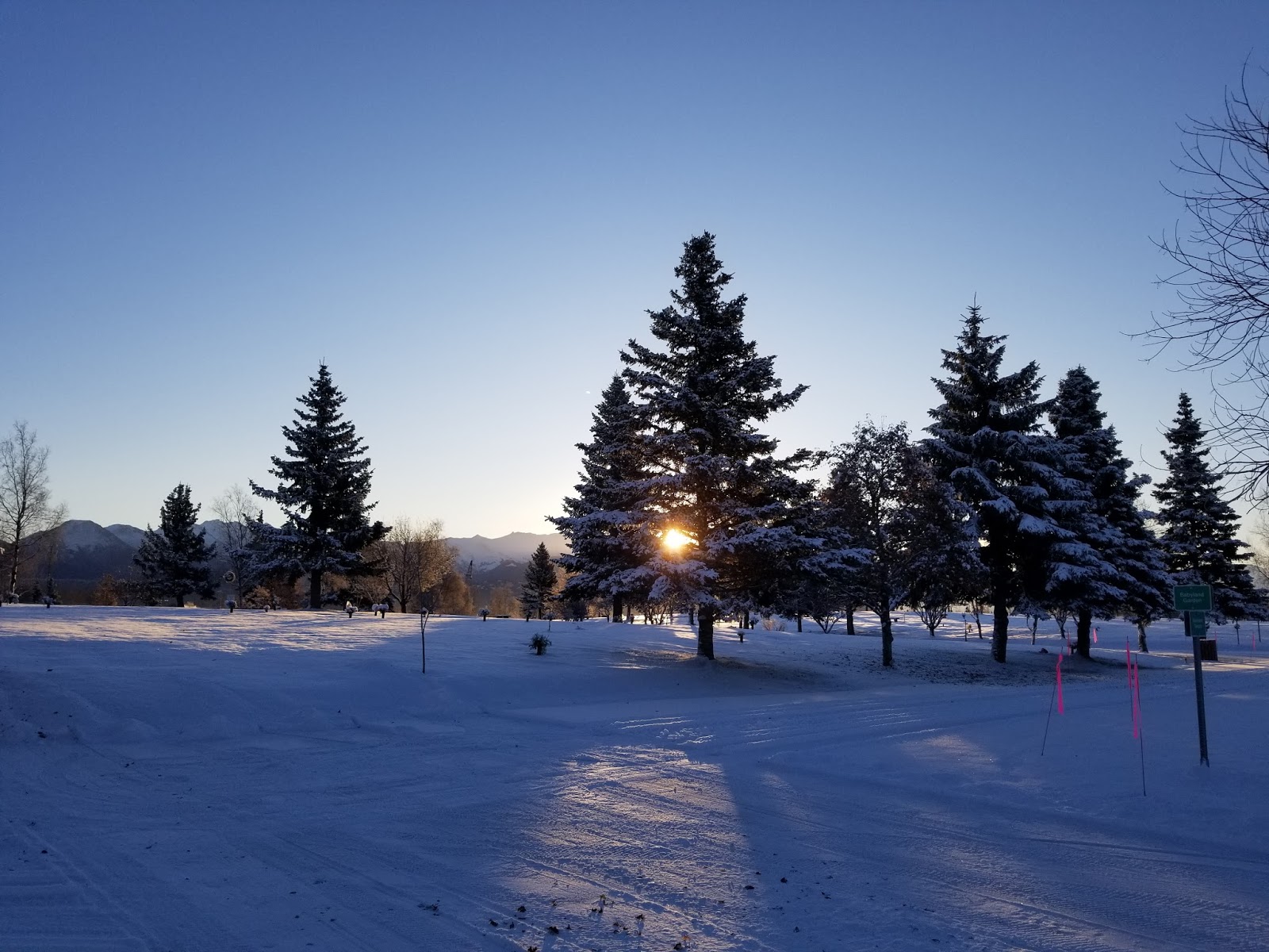 Angelus Memorial Park Cemetery, Inc cemetery grounds and headstones