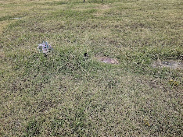 Arkansas Memorial Gardens grounds