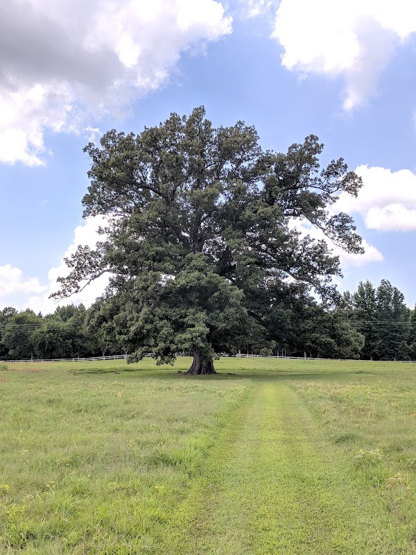Arkansas State Veterans Cemetery grounds