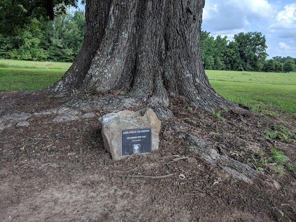 Arkansas State Veterans Cemetery grounds