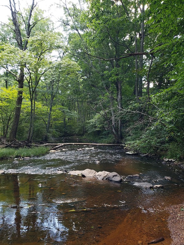 Ashford Memorial Park grounds