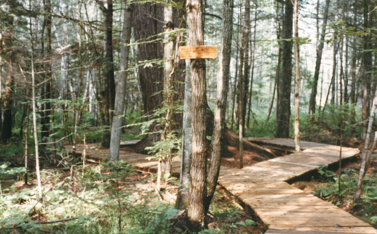 Ashley J. Wing Family Memorial Park