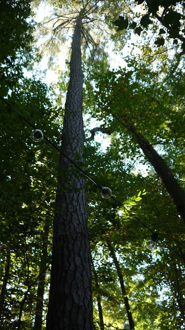 Atlanta Memorial Park grounds