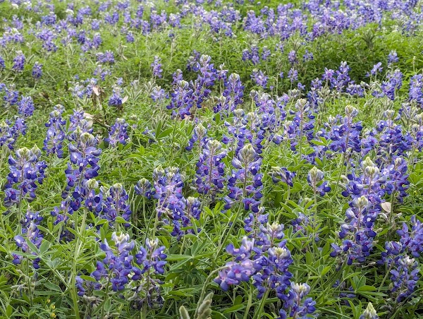 Aurora Cemetery grounds