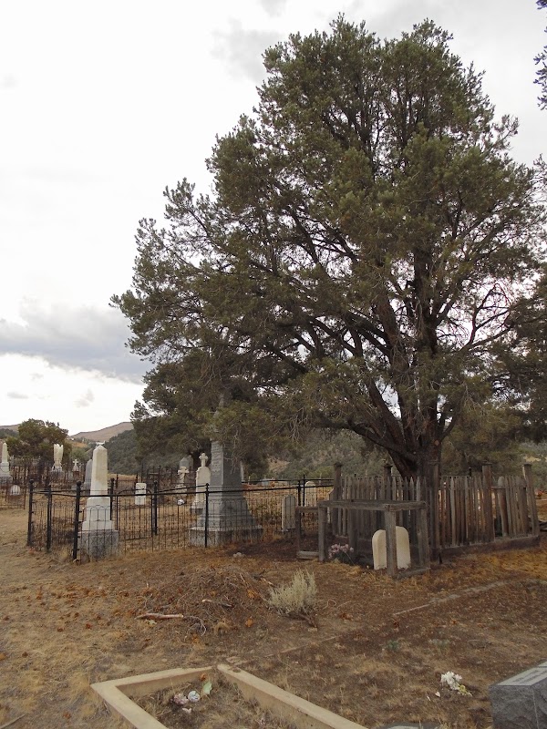 Austin Graveyard grounds