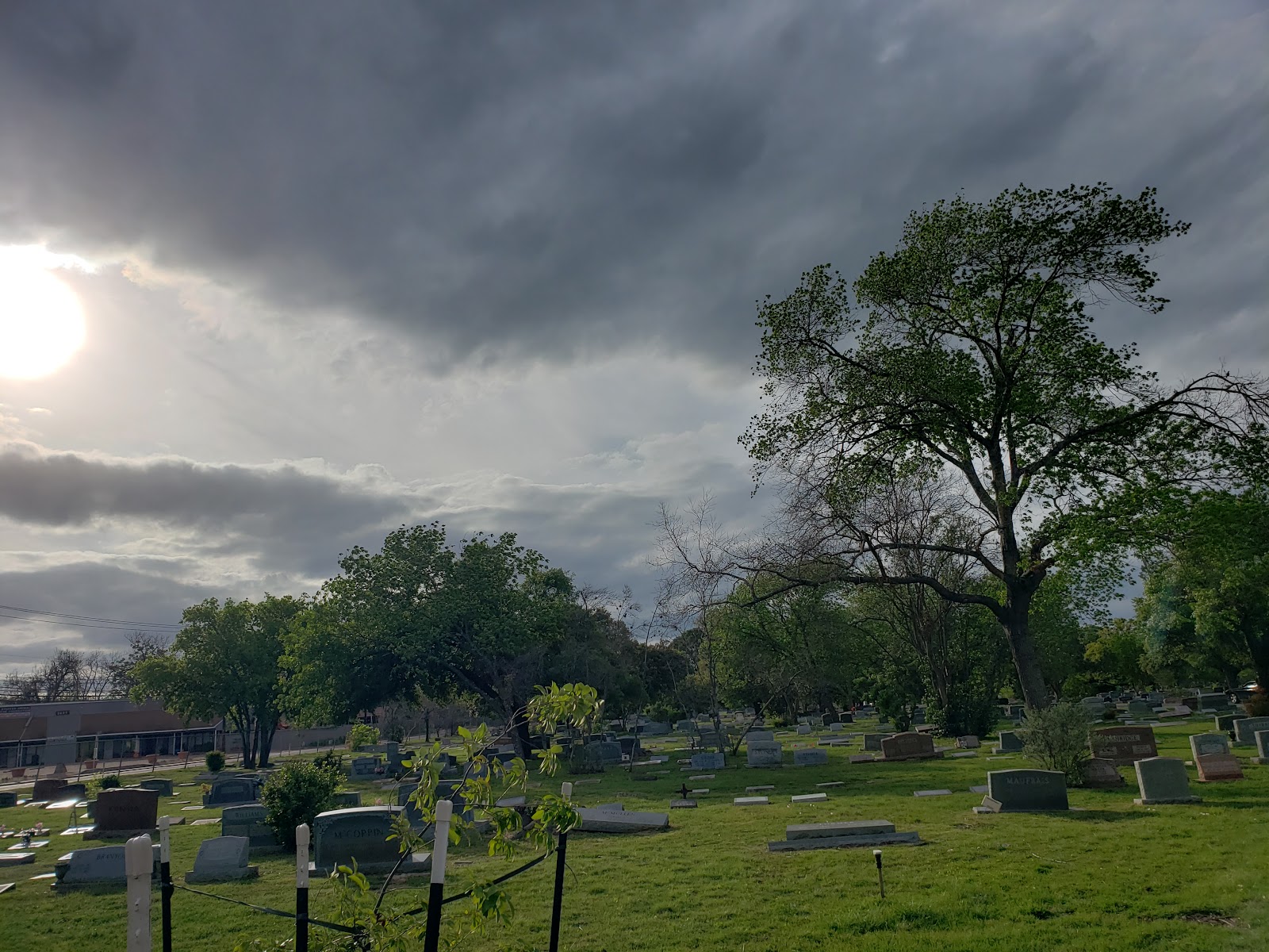 Austin Memorial Park Cemetery cemetery grounds and headstones