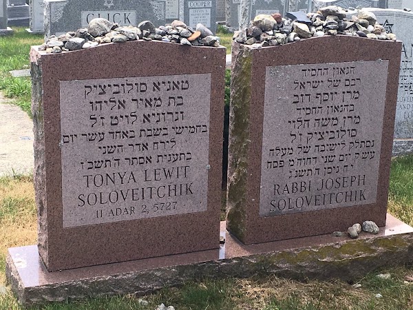 Baker Street Jewish Cemeteries grounds