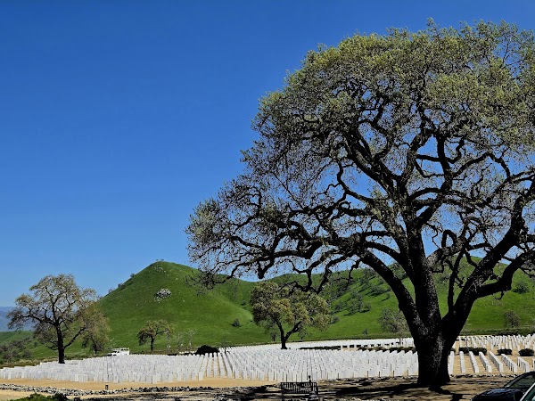 Bakersfield National Cemetery grounds