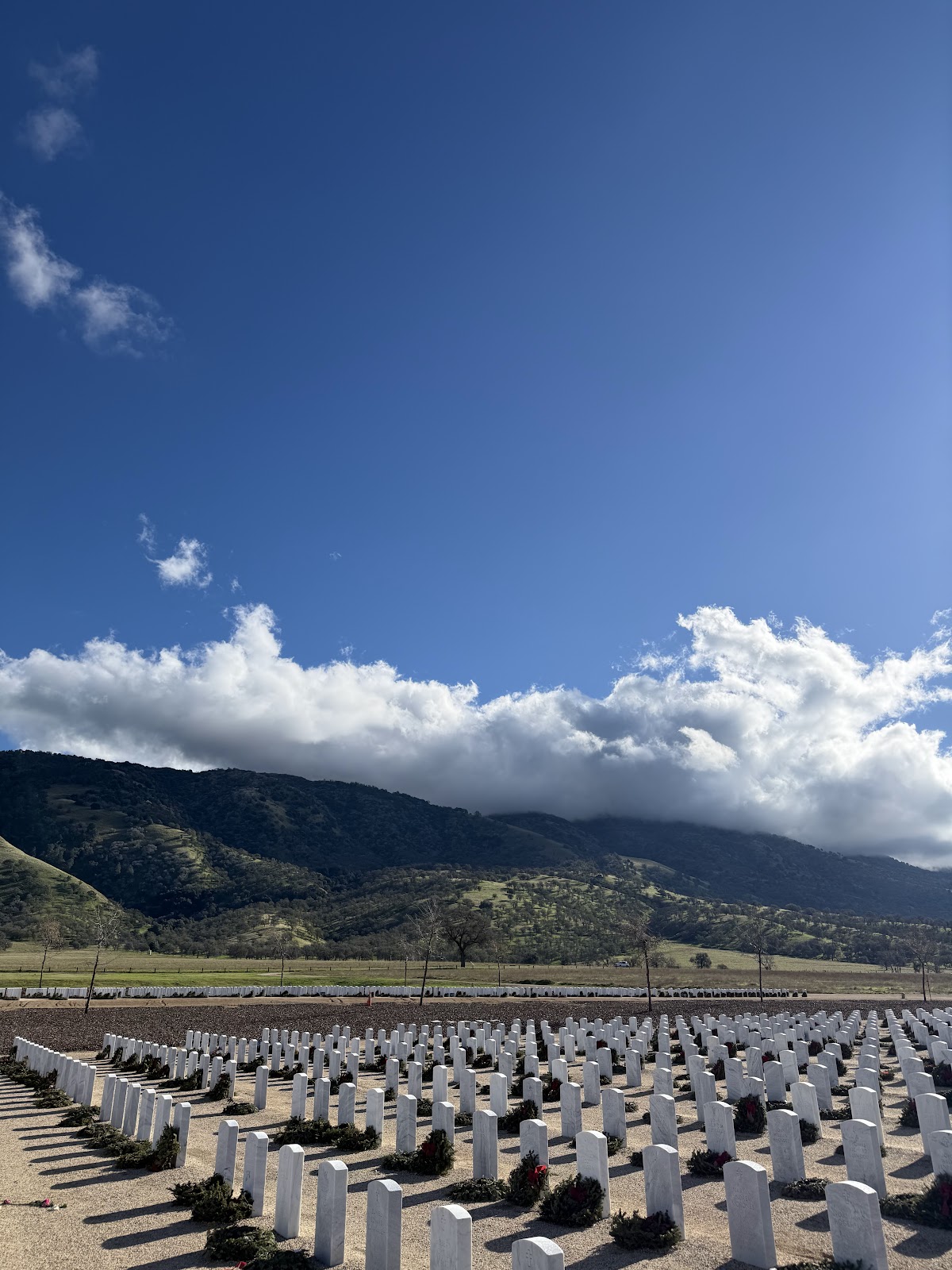 Bakersfield National Cemetery cemetery grounds and headstones