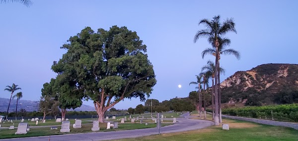 Bardsdale Cemetery grounds