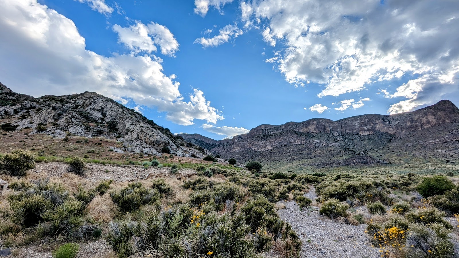 Basin and Range National Monument cemetery grounds and headstones