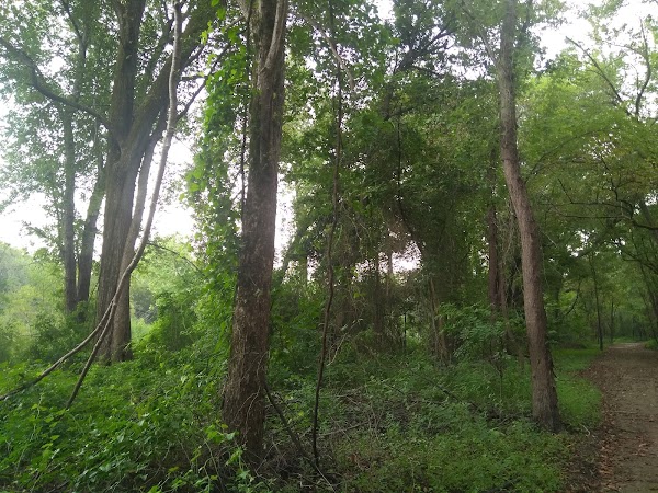 Bates Memorial Park grounds