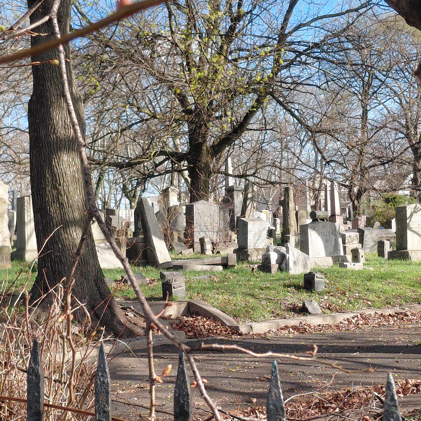Bay View - New York Bay Cemetery