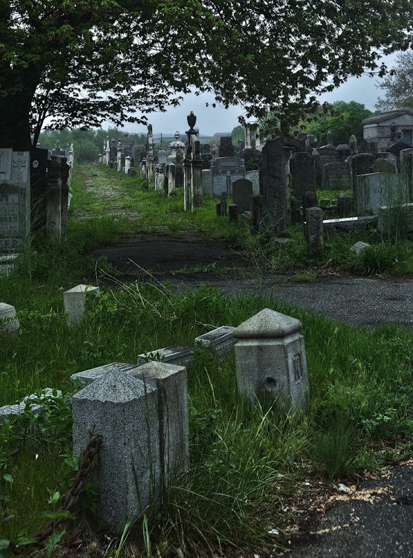 Bayside Cemetery grounds