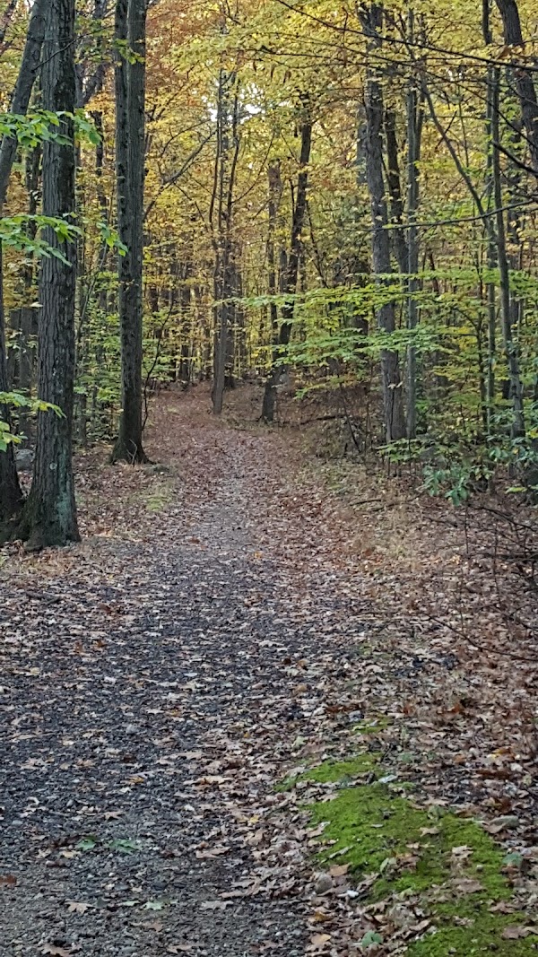Beach Memorial Park grounds