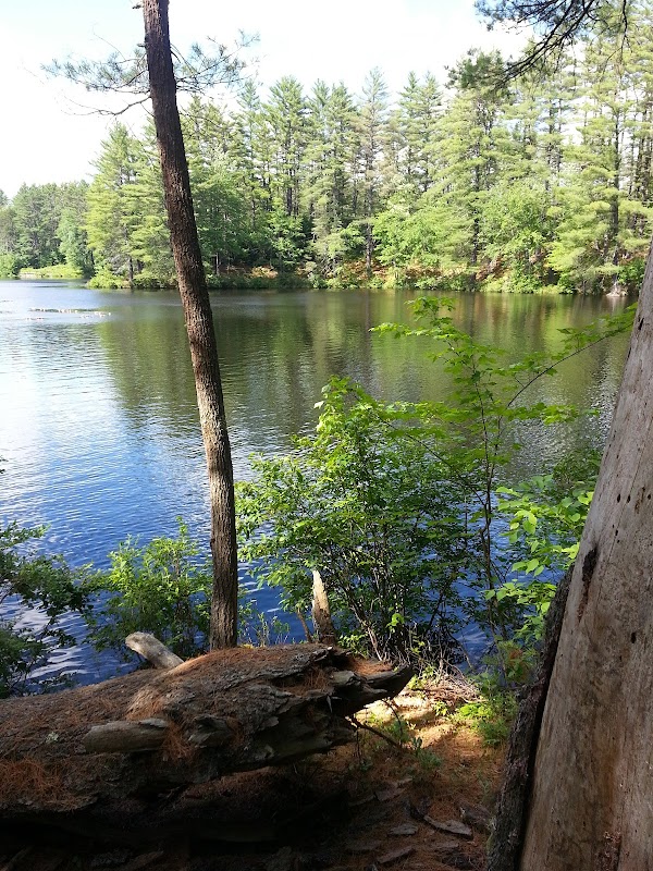 Bear Brook State Park grounds