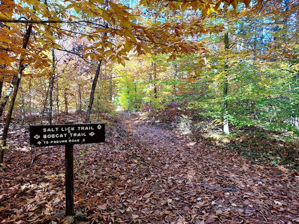 Bear Brook State Park grounds