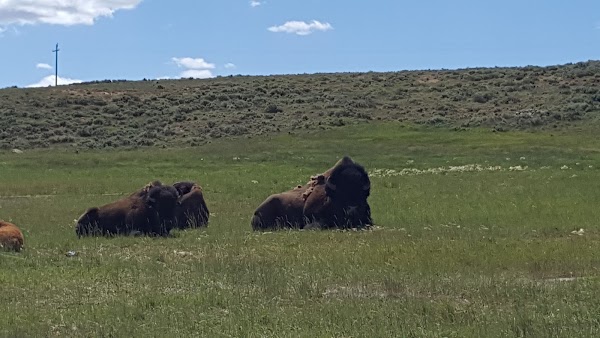 Bear River State Park grounds