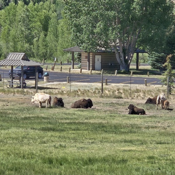 Bear River State Park Visitor Center grounds