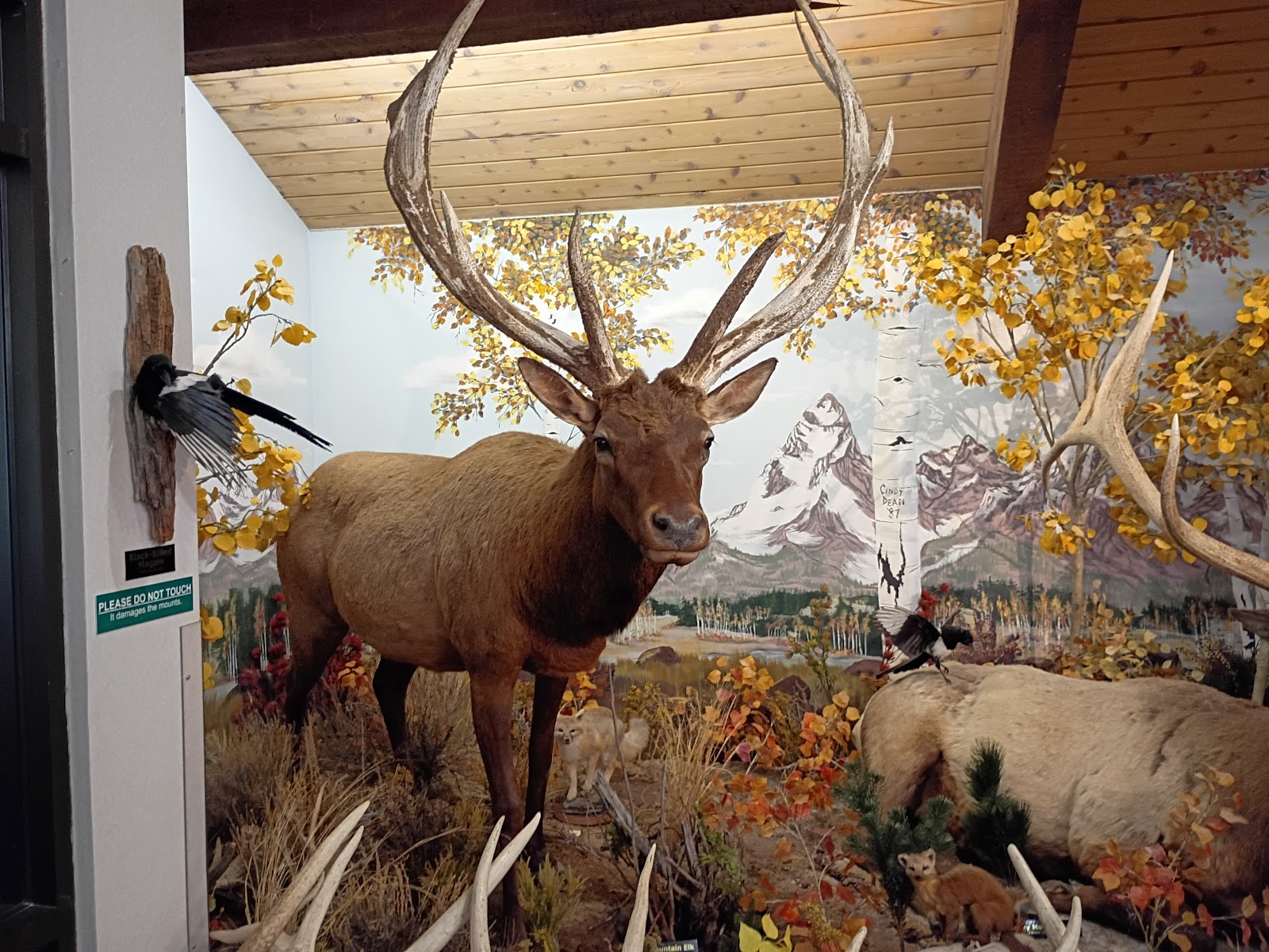 Bear River State Park Visitor Center