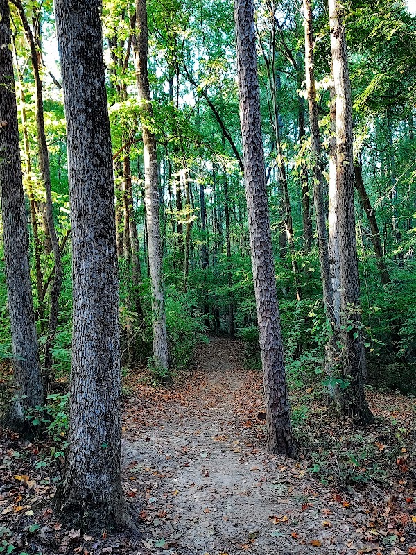 Bell Memorial Park grounds