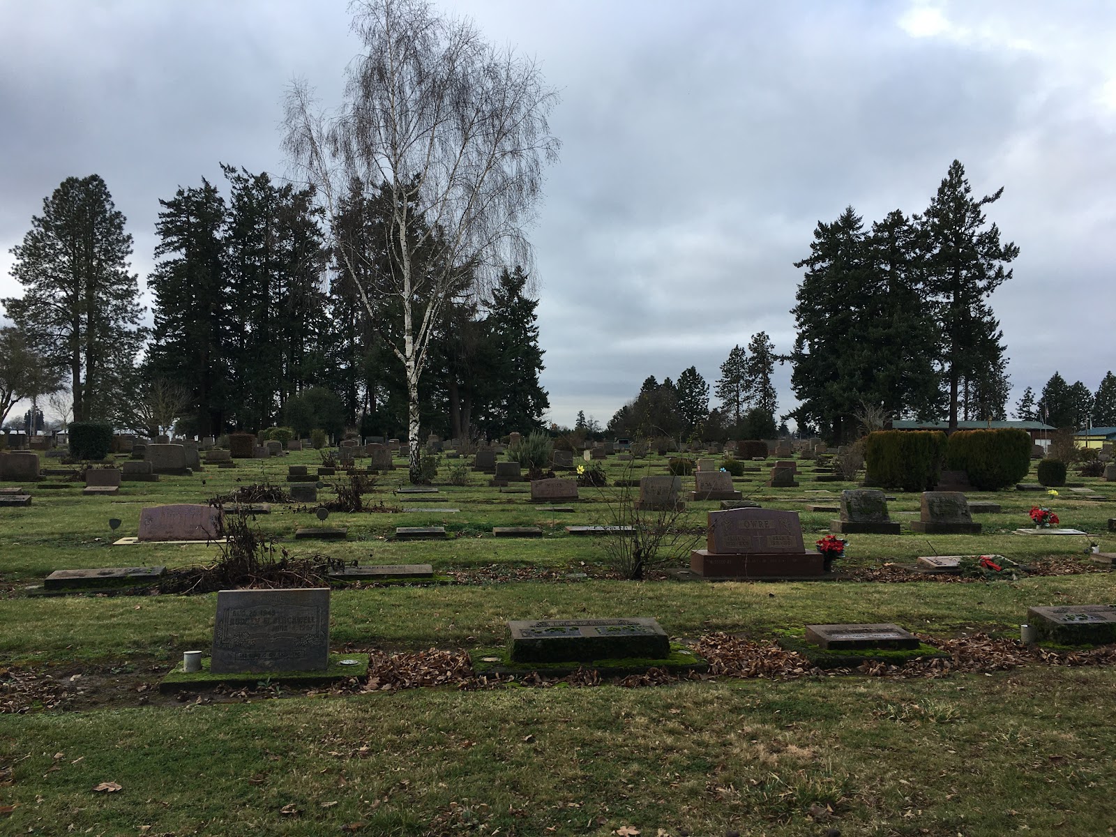 Belle Passi Cemetery cemetery grounds and headstones